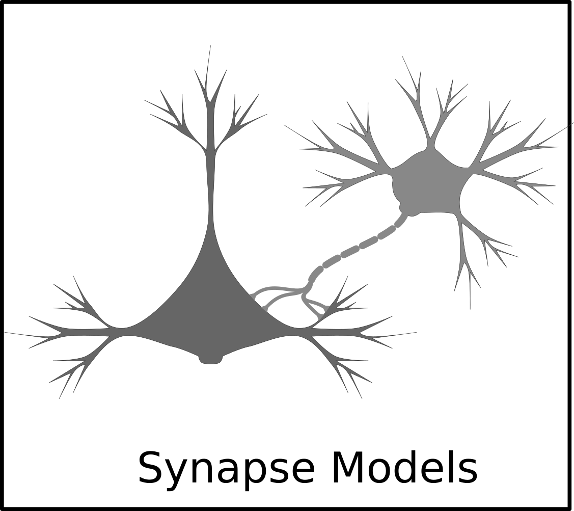 Synapse Models